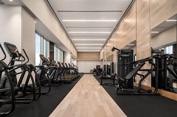 A row of exercise machines in a gym